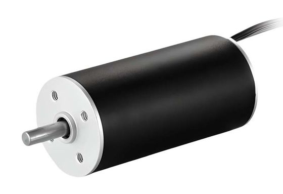 에너지 절약 20mm 슬롯 없는 BLDC 모터 12V 18880rpm 낮은 소음 및 진동