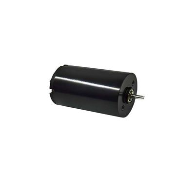 16mm 브러쉬 DC 모터 1.57 와트 9980rpm 전기 브러쉬 DC 모터 24V 사용자 정의