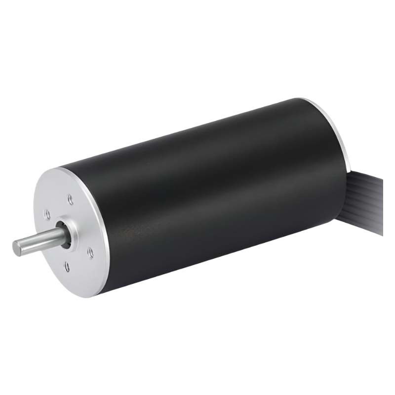 고속 22mm 슬롯 없는 브러쉬 없는 모터 48V 코어 없는 BLDC 모터 22W 13641rpm