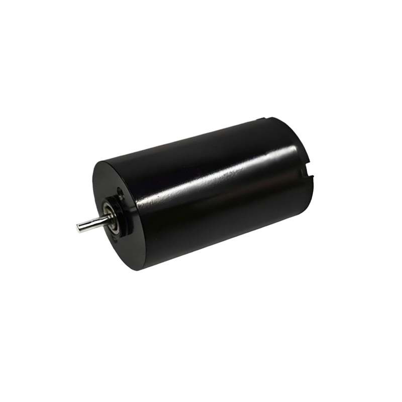16mm 브러쉬 DC 모터 1.57 와트 9980rpm 전기 브러쉬 DC 모터 24V 사용자 정의