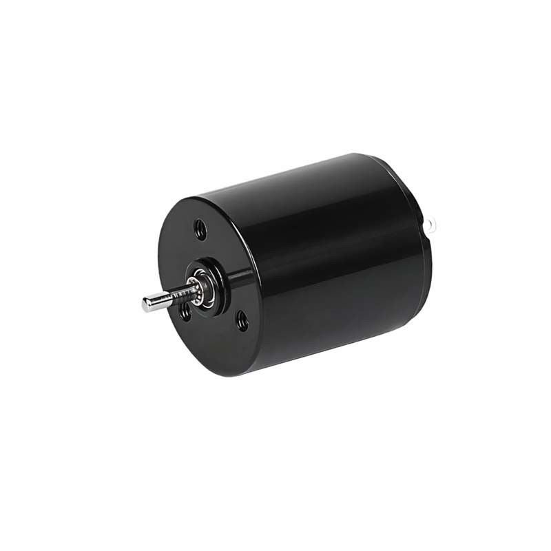 마이크로 코러리스 브러시 DC 모터 22mm 3.61 와트 6900rpm 36V 사용자 정의