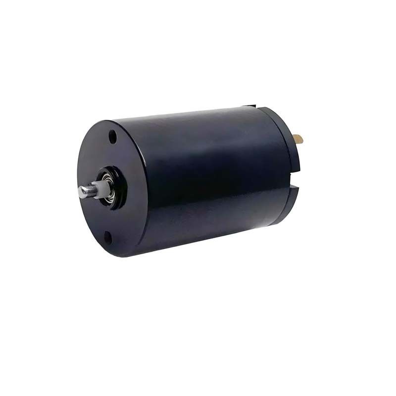 16mm 브러쉬 DC 모터 1.57 와트 9980rpm 24V 사용자 정의 마이크로 브러쉬 모터